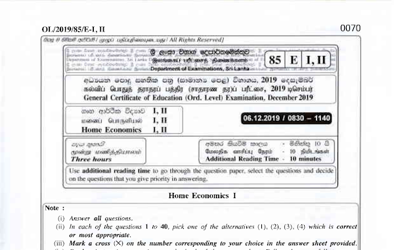 2019 G.C.E O/L Home Economics Paper I & II (English Medium)