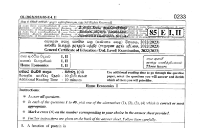 2022 G.C.E O/L Home Economics Paper I & II (English Medium)