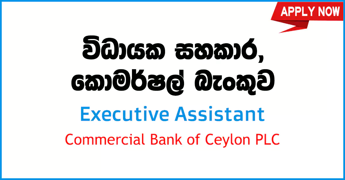 Executive Assistant – Commercial Bank Of Ceylon PLC Job Vacancies 2023 ...